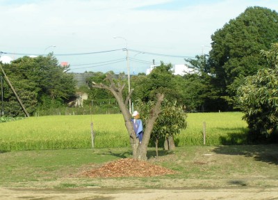 c0112172_15342585.jpg