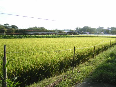 c0112172_15344745.jpg