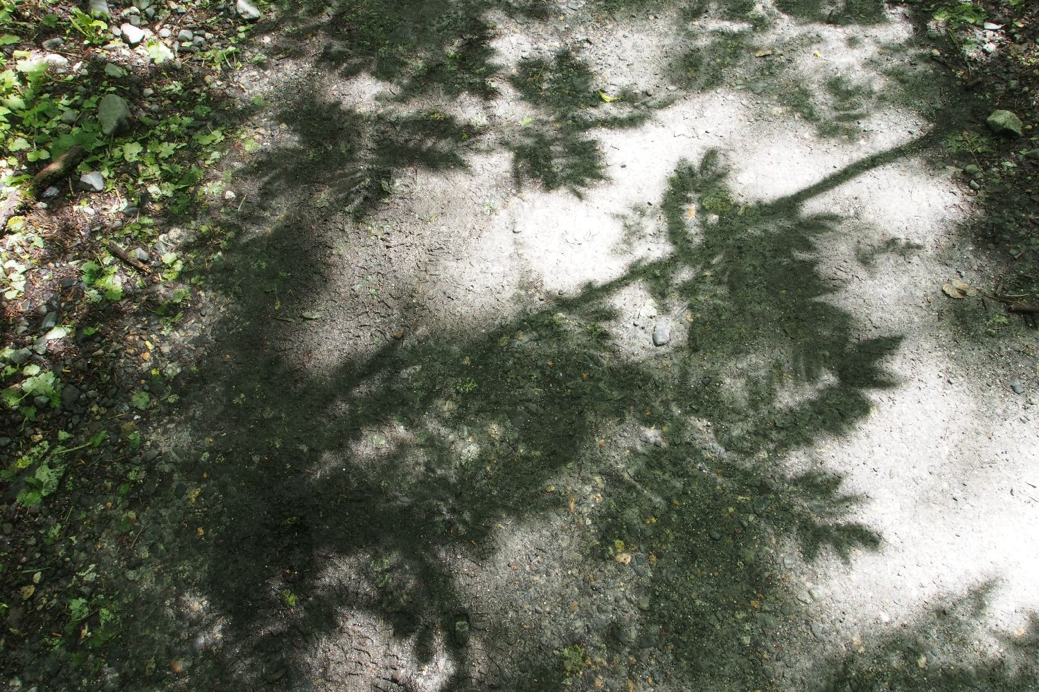 e0307372_11363955.jpg