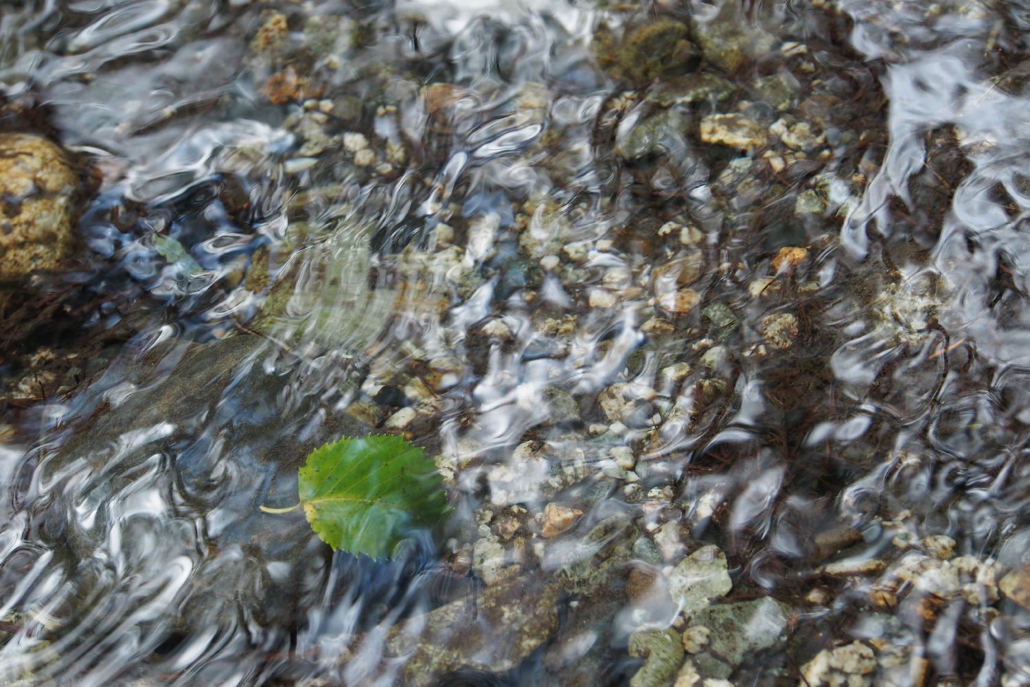 e0307372_11402808.jpg