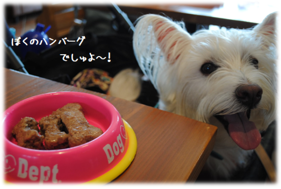 b0242873_23380575.png