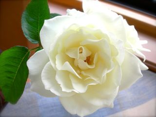 b0211976_16381411.jpg