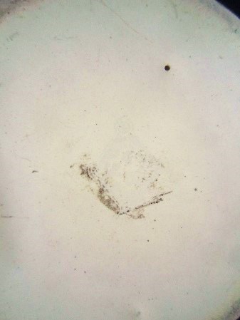 e0074478_2335537.jpg