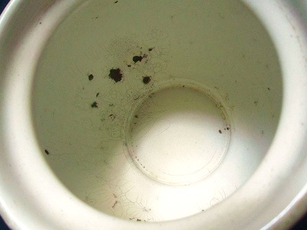 e0074478_2342012.jpg