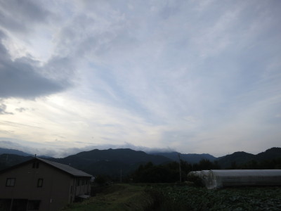 f0037378_2221686.jpg