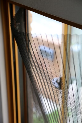 f0037378_22322144.jpg