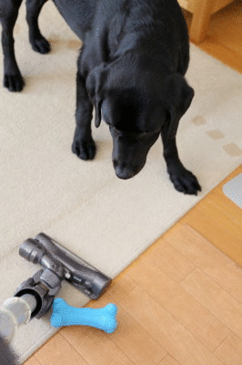 f0037378_2248445.gif