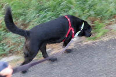 f0037378_23135475.jpg