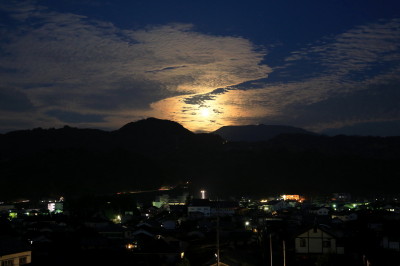 f0037378_23481969.jpg