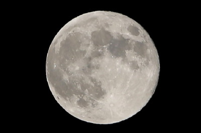 f0037378_2348272.jpg