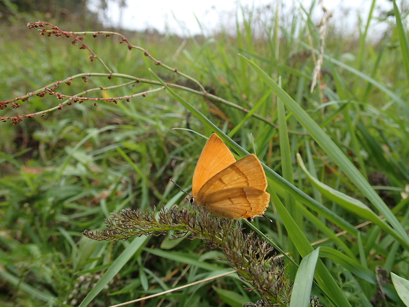 f0090680_20305899.jpg