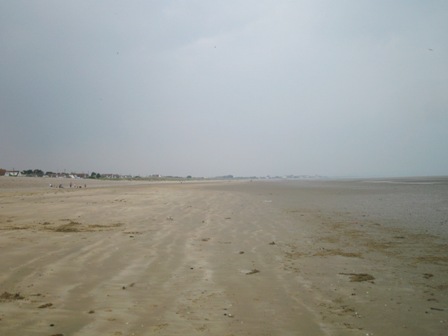 a0208783_1241477.jpg