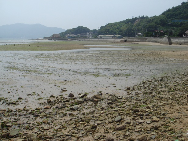 e0060485_0355558.jpg