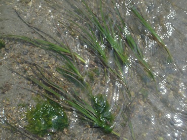 e0060485_0473966.jpg