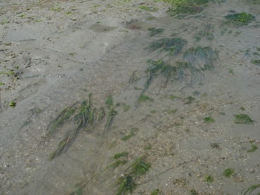 e0060485_047557.jpg