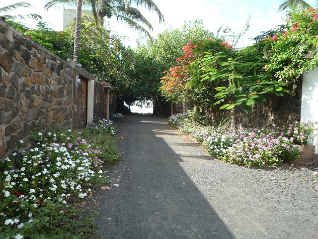 b0287088_18321036.jpg