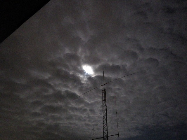a0159490_14291385.jpg