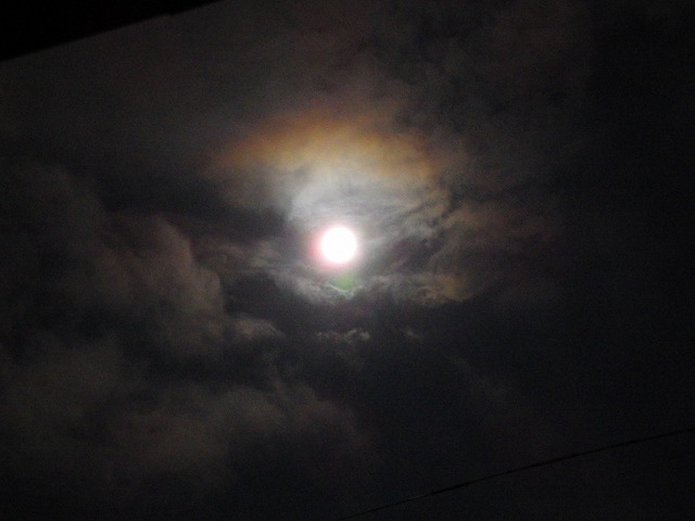 a0159490_14292078.jpg