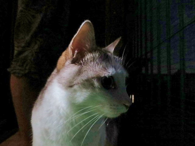 a0159490_14293619.jpg