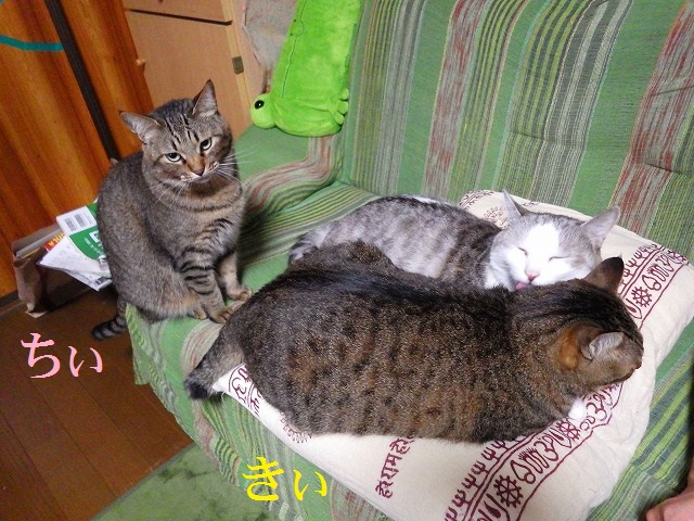 a0159490_1533485.jpg
