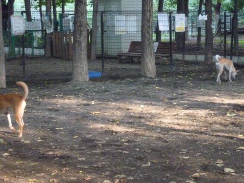 c0123890_19134158.jpg