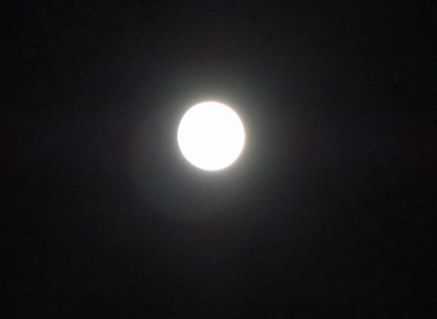 b0019591_6444780.jpg
