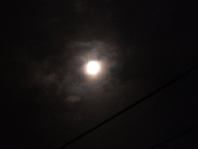 f0130894_23493335.jpg
