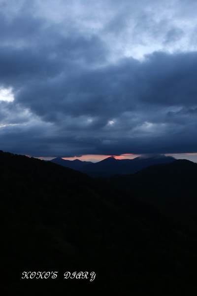 e0059896_21363752.jpg