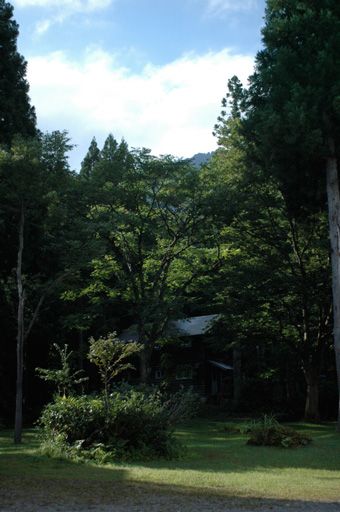 a0061599_750734.jpg