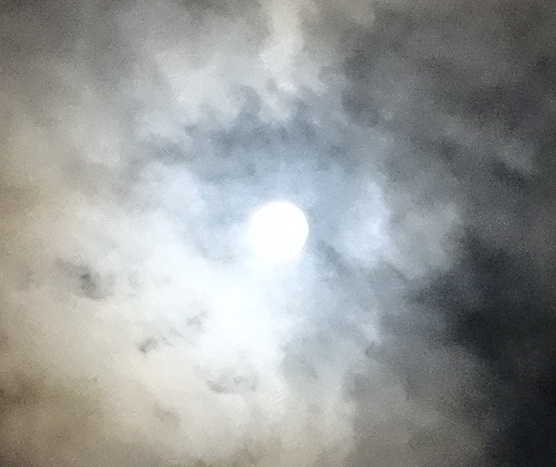 d0024504_10562256.jpg