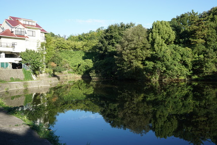 f0353904_1405899.jpg