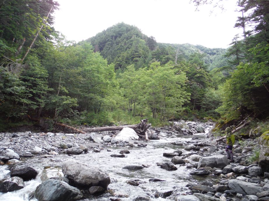 b0172805_3542281.jpg