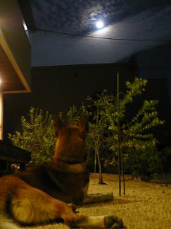 a0251413_16275134.jpg