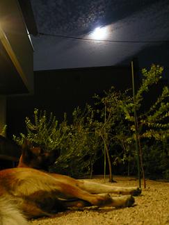a0251413_1630323.jpg