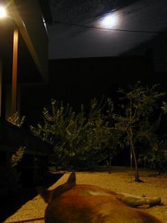 a0251413_16594243.jpg
