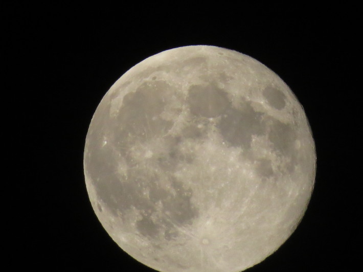 c0087023_10435402.jpg