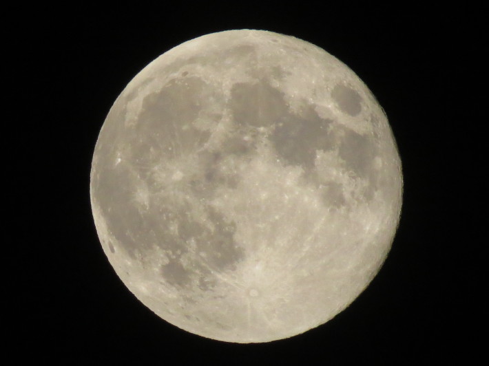 c0087023_10435896.jpg