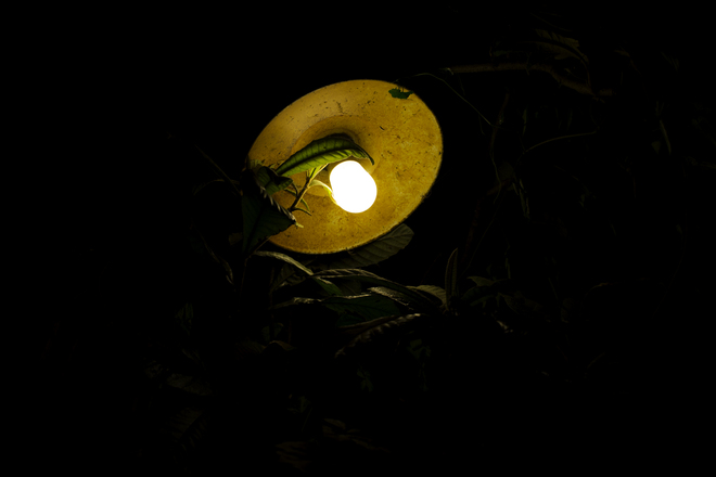 e0200926_2326193.jpg