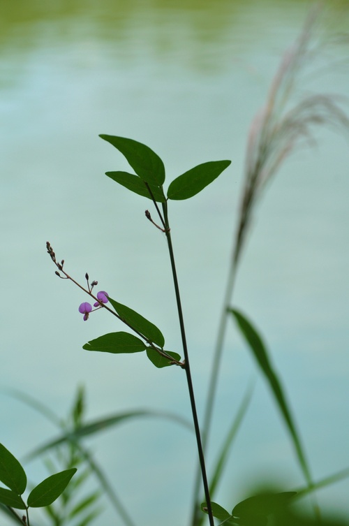 a0248728_16591127.jpg