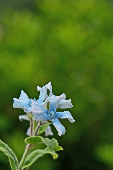 d0029829_21525999.jpg