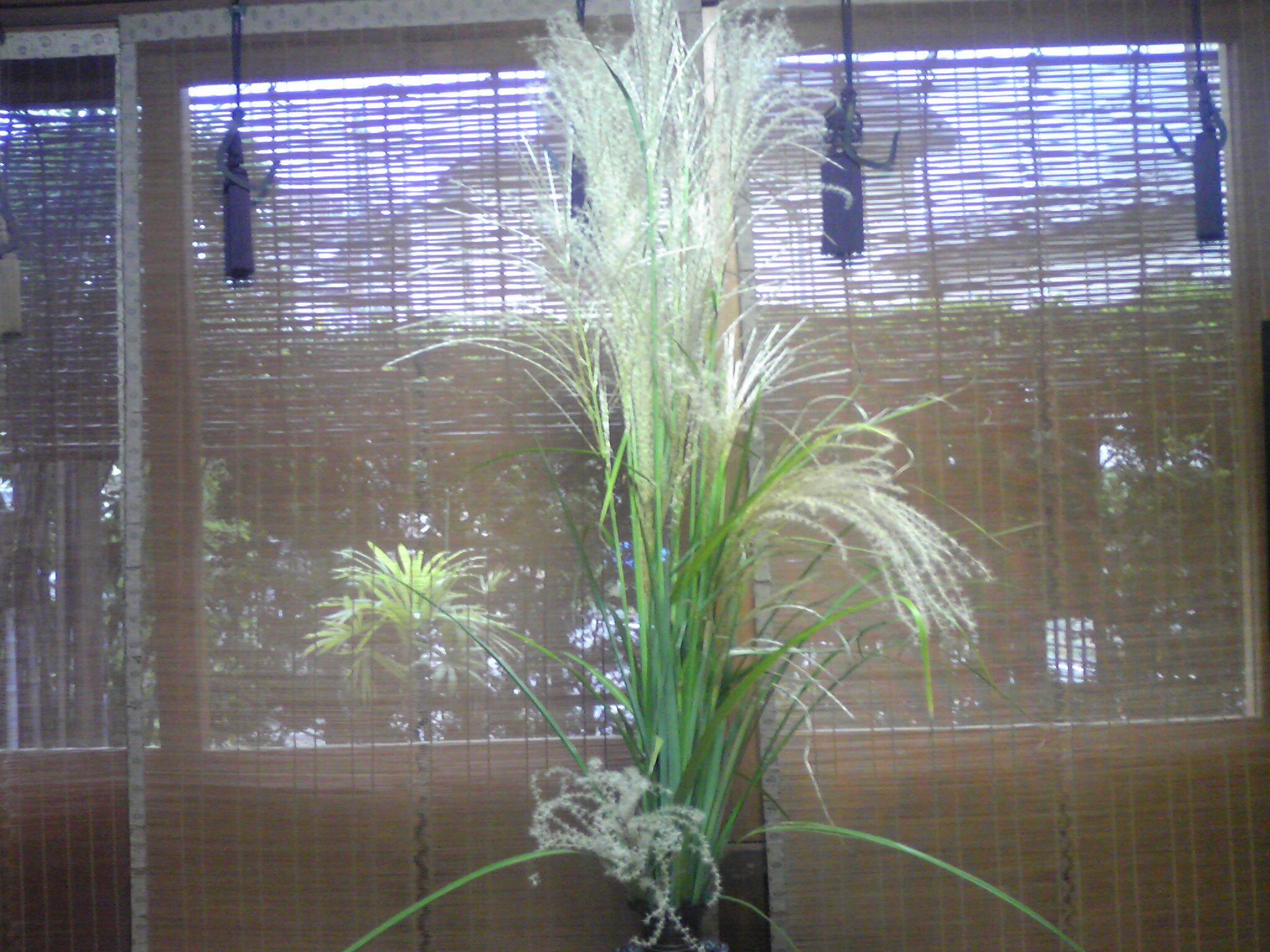 c0211734_17214071.jpg