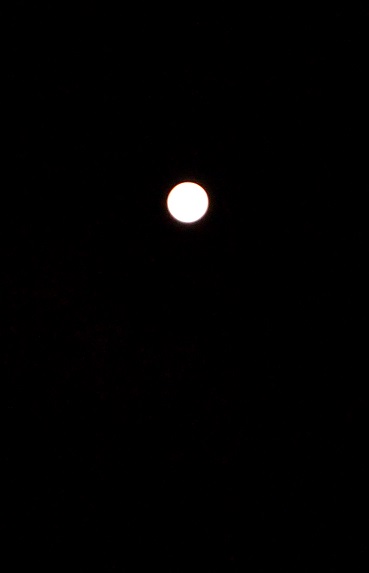 c0306839_18511024.jpg