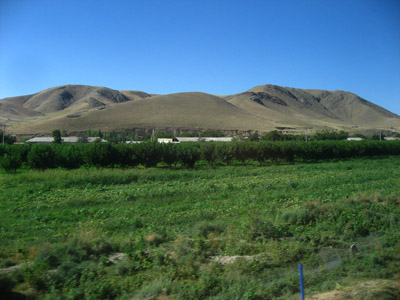 d0143739_1192230.jpg