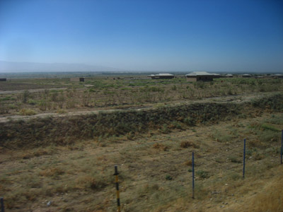 d0143739_1195683.jpg
