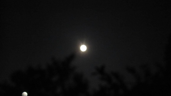 d0323339_08035982.jpg