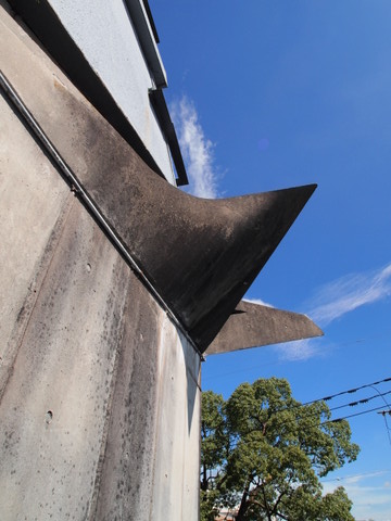 b0199742_625435.jpg