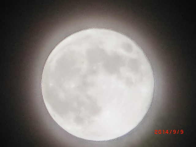 c0194042_1502054.jpg