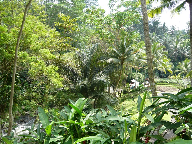 d0240442_13402027.jpg