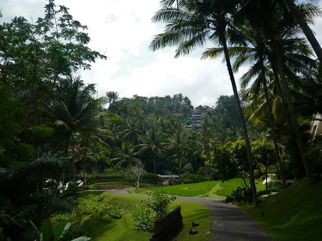d0240442_13414543.jpg
