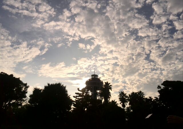 b0090243_0155950.jpg